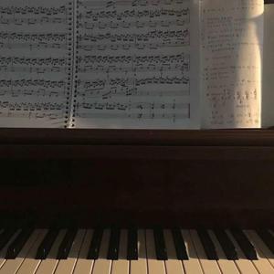 麻豆精品乱码www久久密的特点
